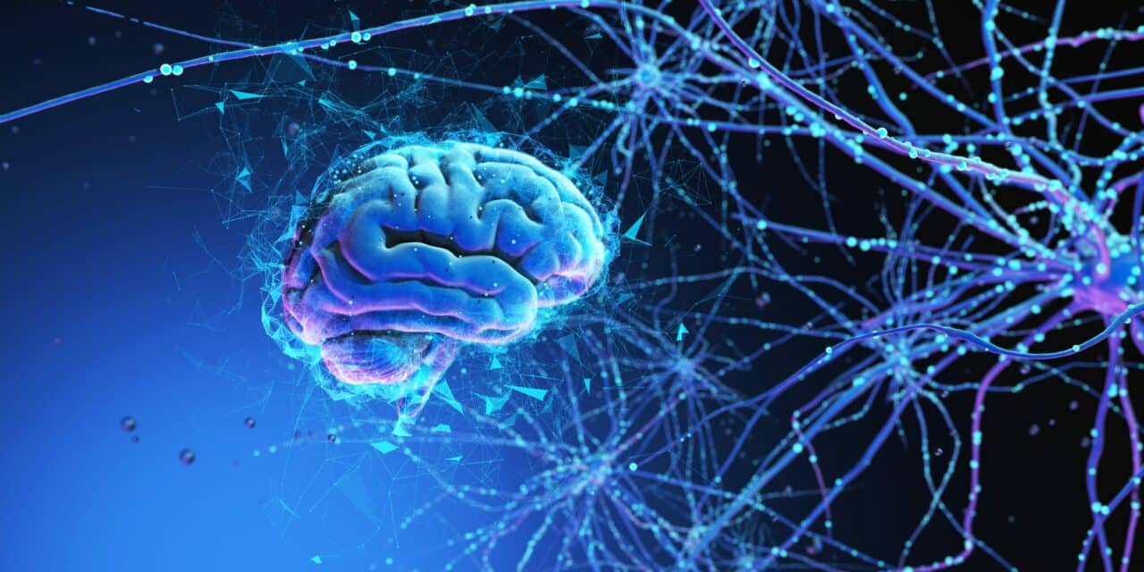 Efficient Mechanism That Creates Memories Even During Sleep Discovered
