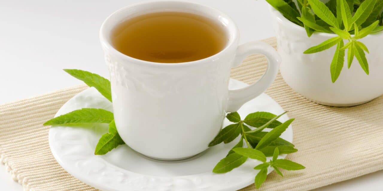Lemon Verbena Enhances Sleep and Boosts Melatonin Levels, Study Finds