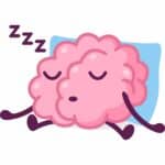 Sleep May Not Clear Brain Toxins After All, Surprising Study Finds
