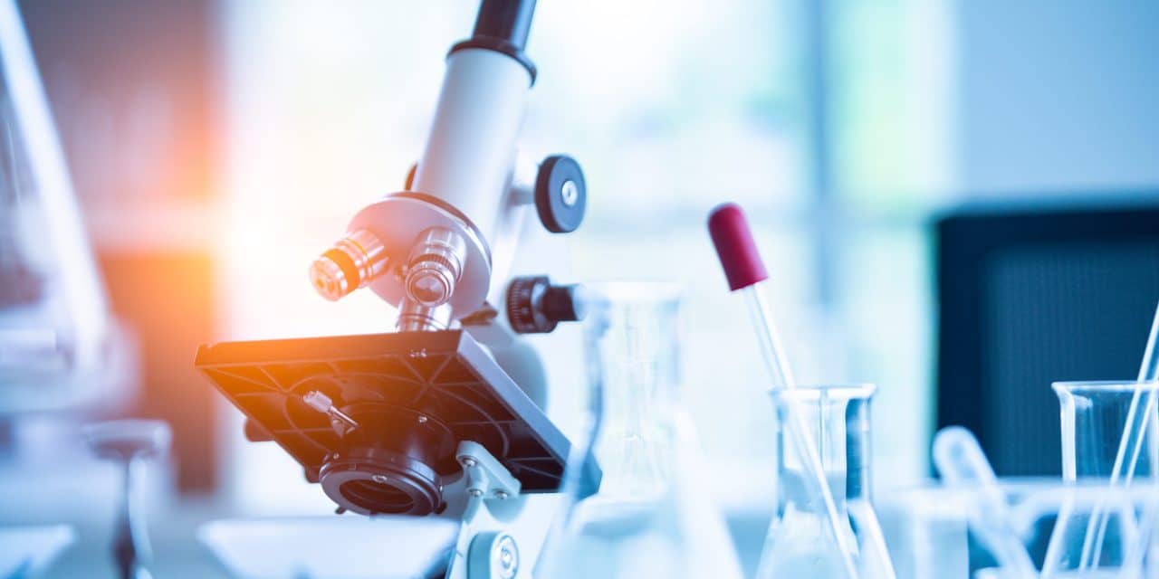 Orexin Receptor 2 Agonist ORX142 Promotes Wakefulness in Preclinical Models