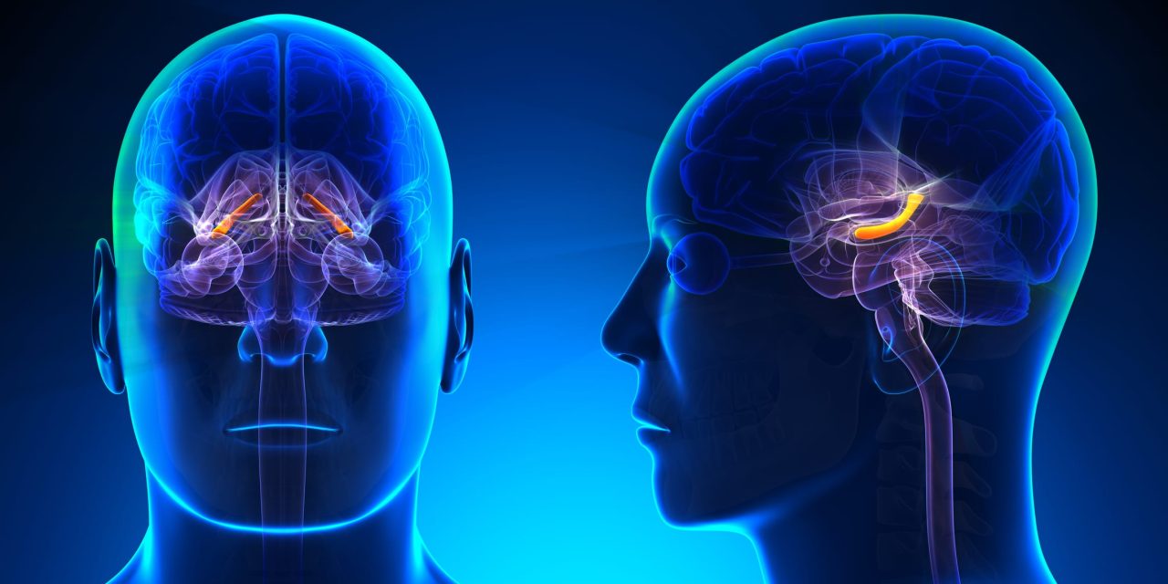 Sleep Deprivation, Memory, & Time Changes