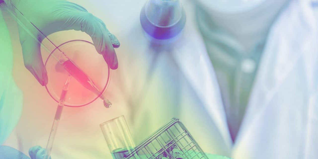 Definitive Merger Agreement Reached Between NLS and Kadimastem