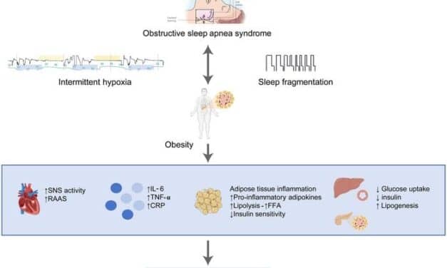 ​​How OSA, Obesity, and Metabolic Syndrome Interact to Increase Cardiovascular Risks