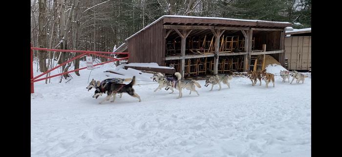 Daylight Saving Time Throws Off Sled Dogs’ Schedule