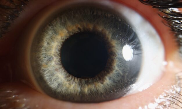 Contracted Versus Dilated Pupils Show How Brain Files Memories in Sleep