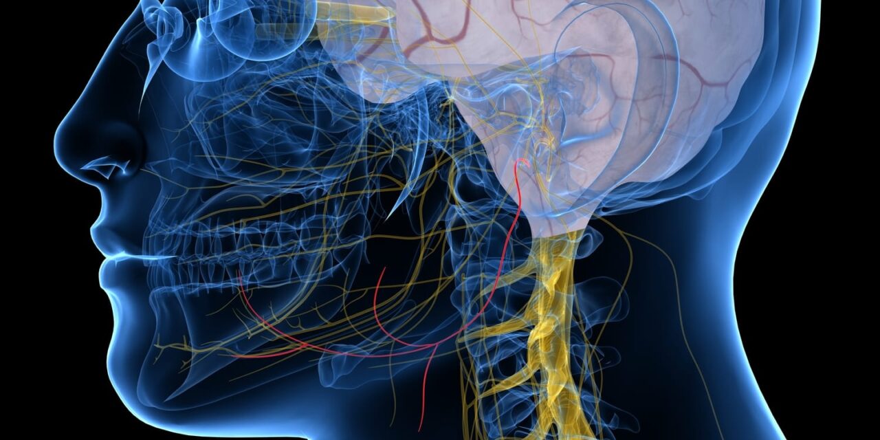 New Trial Reveals Sustained Benefits for Investigational Sleep Apnea Neurostimulator