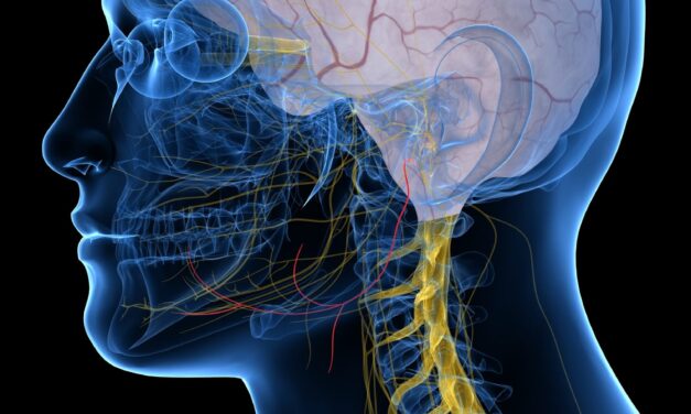 New Trial Reveals Sustained Benefits for Investigational Sleep Apnea Neurostimulator