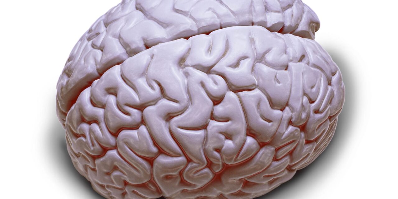 New Clues Emerge on OSA’s Link to Memory Problems