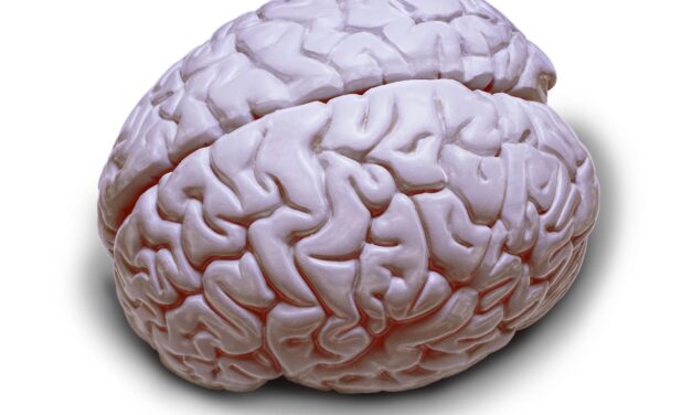 New Clues Emerge on OSA’s Link to Memory Problems