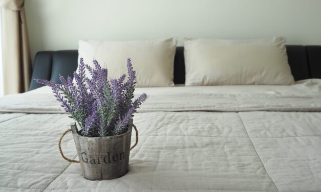 How Scent Can Support Sleep Wellness