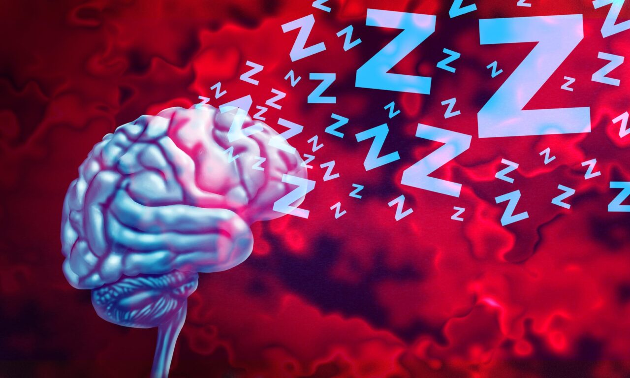 Narcolepsy Patients Show Enhanced Brain Waste Clearance Through Compensatory Vasomotor Activity