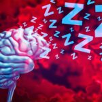 Narcolepsy Patients Show Enhanced Brain Waste Clearance Through Compensatory Vasomotor Activity