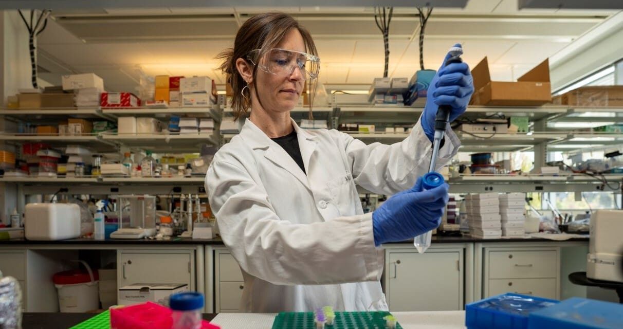 Evidence of Bacterial Molecules in Mouse Brains Disrupts Long-Held Views of Sleep Regulation