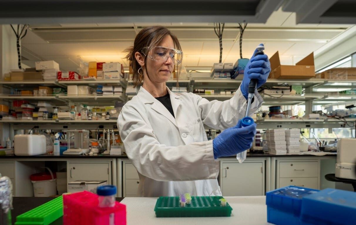 Evidence of Bacterial Molecules in Mouse Brains Disrupts Long-Held Views of Sleep Regulation