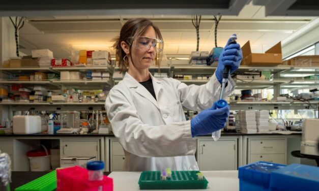 Evidence of Bacterial Molecules in Mouse Brains Disrupts Long-Held Views of Sleep Regulation