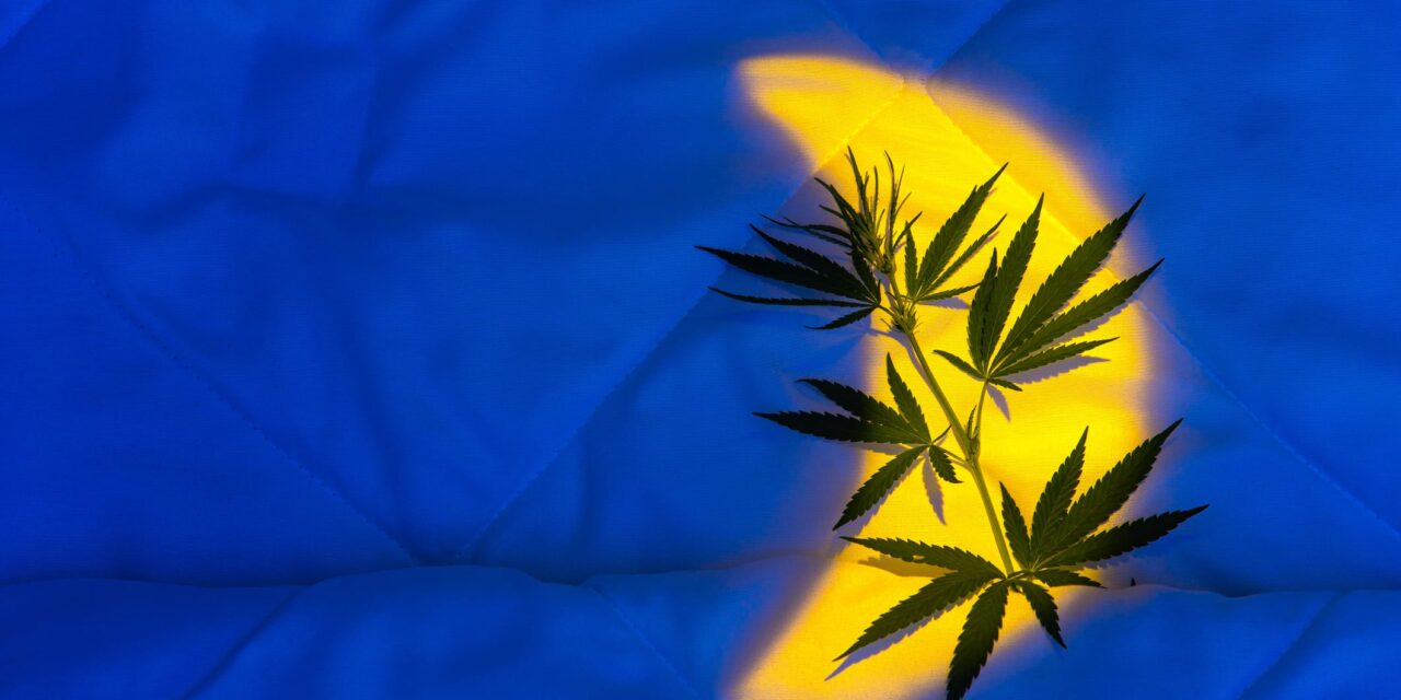 Study: Over 1 in 5 Young Adults Use Cannabis or Alcohol for Sleep Aid