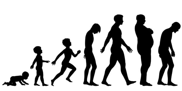 human development