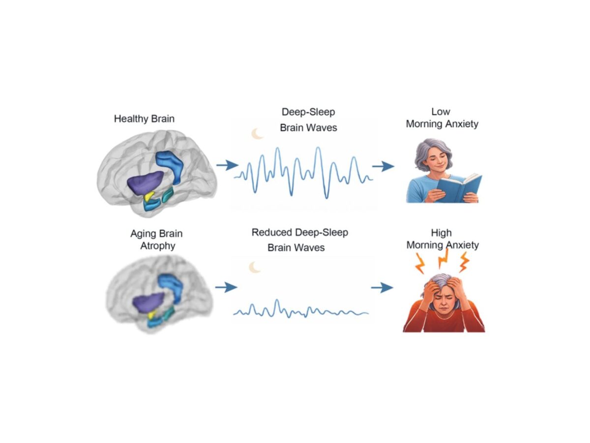 Lack of Deep Sleep, Not Brain Aging, Drives Anxiety in Older