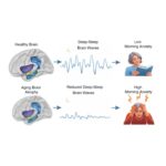 Lack of Deep Sleep, Not Brain Aging, Drives Anxiety in Older Adults