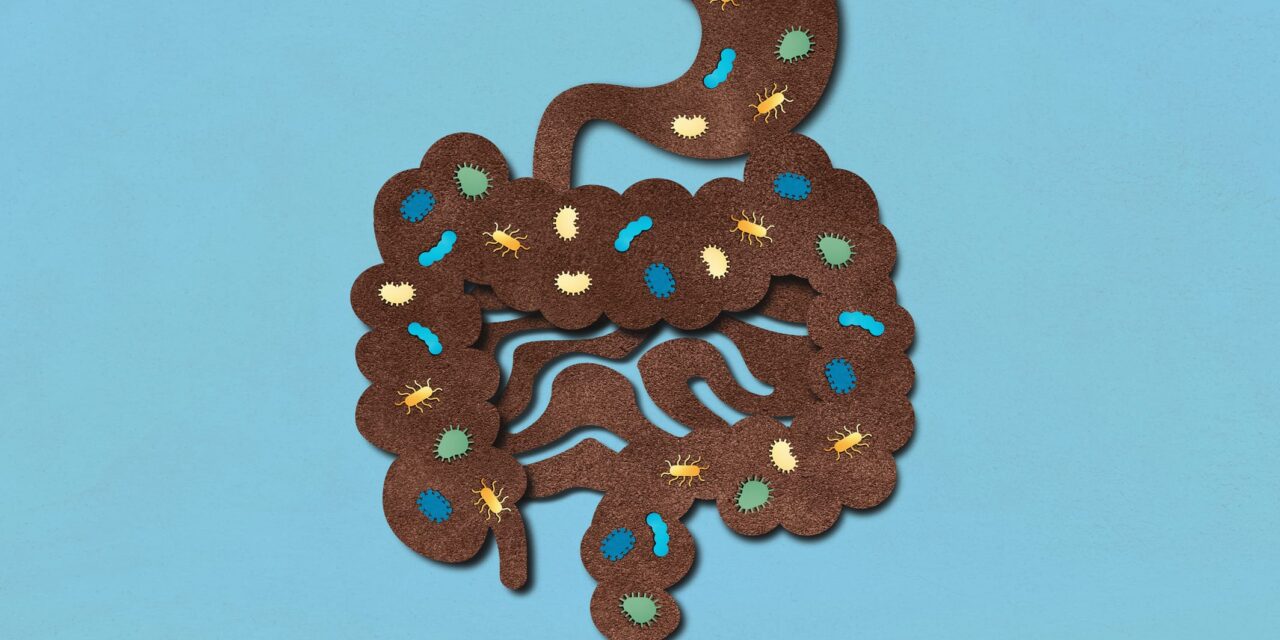 gut microbiome narcolepsy