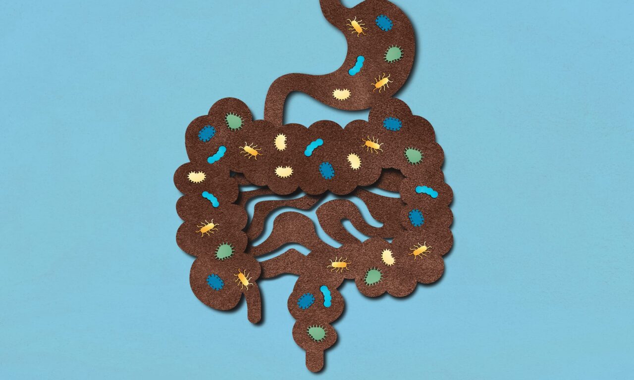 Gut Microbiota Imbalance Linked to Narcolepsy, Other Sleep Disorders