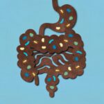 Gut Microbiota Imbalance Linked to Narcolepsy, Other Sleep Disorders