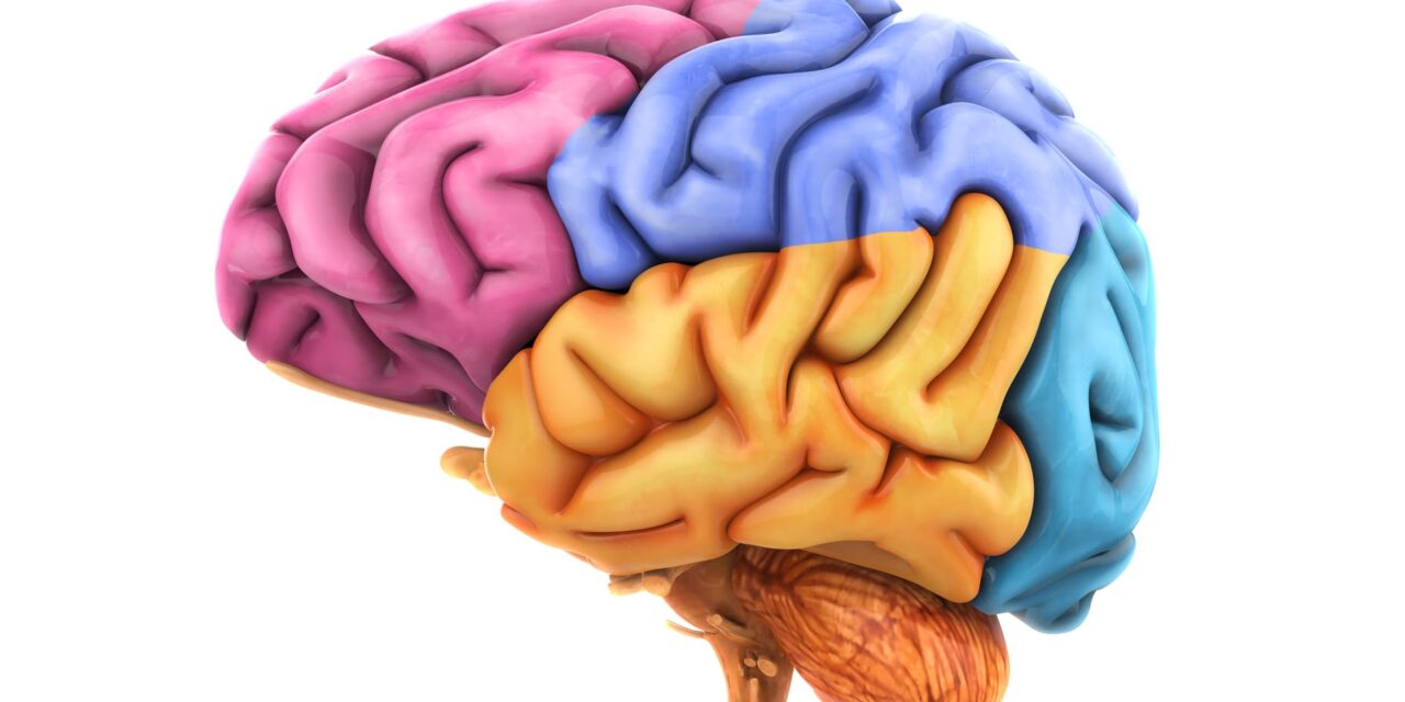 Surprisingly, Narcolepsy Type 1 Linked to Neurodegeneration Beyond That of Orexin Neurons
