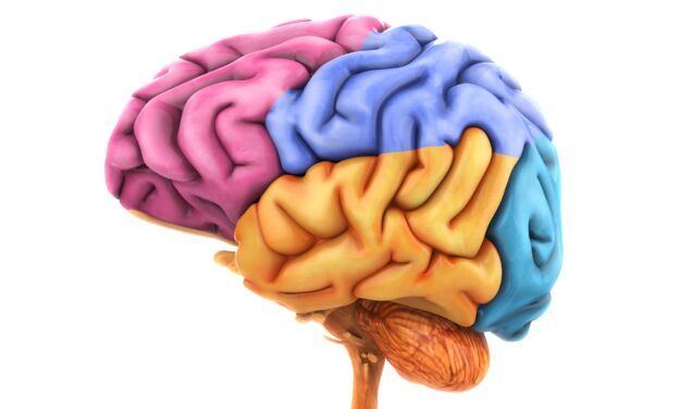 Surprisingly, Narcolepsy Type 1 Linked to Neurodegeneration Beyond That of Orexin Neurons